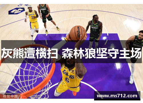 灰熊遭横扫 森林狼坚守主场